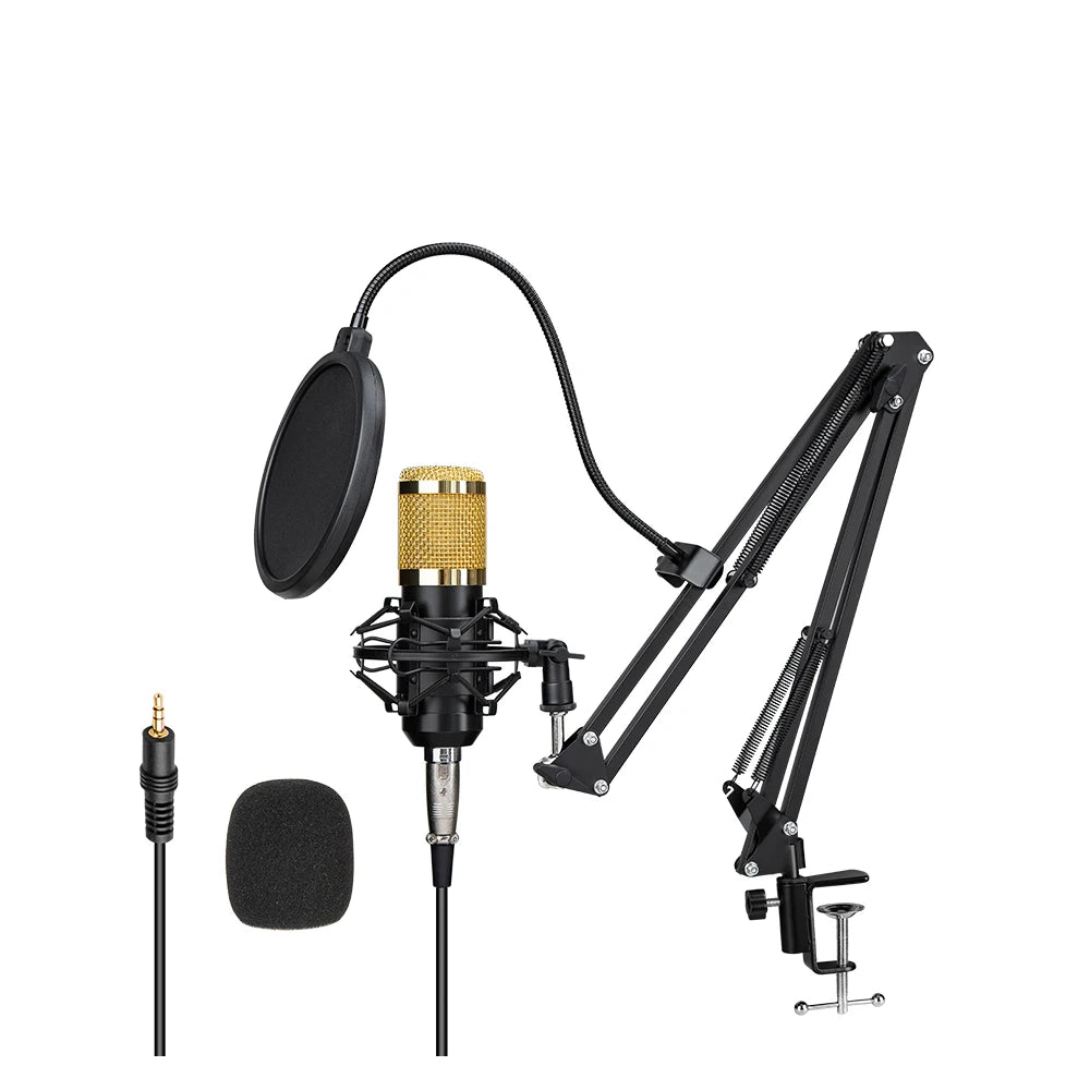 Good Selling Professional Audio Sing Game Recording Microphone